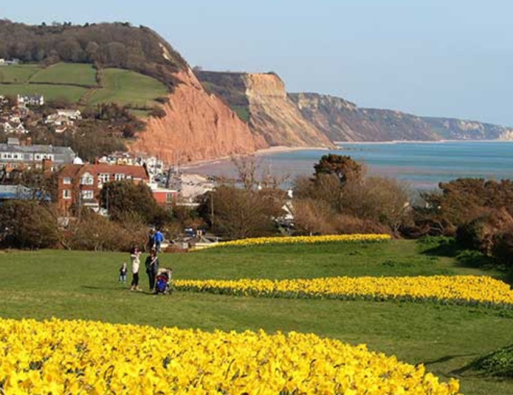 Sidmouth_Spring